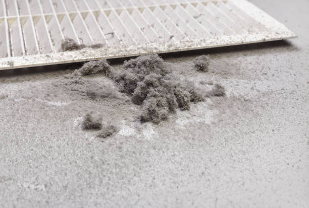 Best HVAC Maintenance and Cleaning  in Everett, MA
